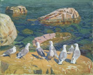 Seagulls